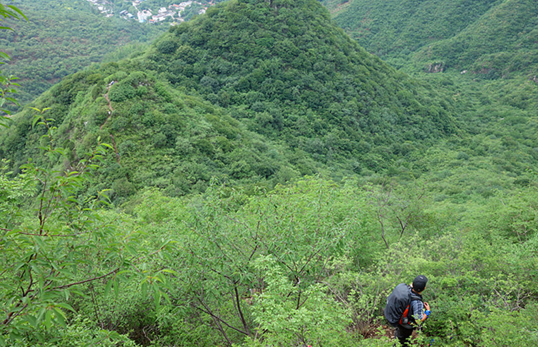 dsc05288_3.jpg