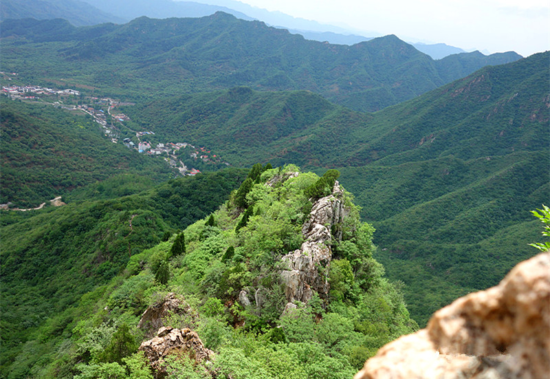 dsc05329_3.jpg