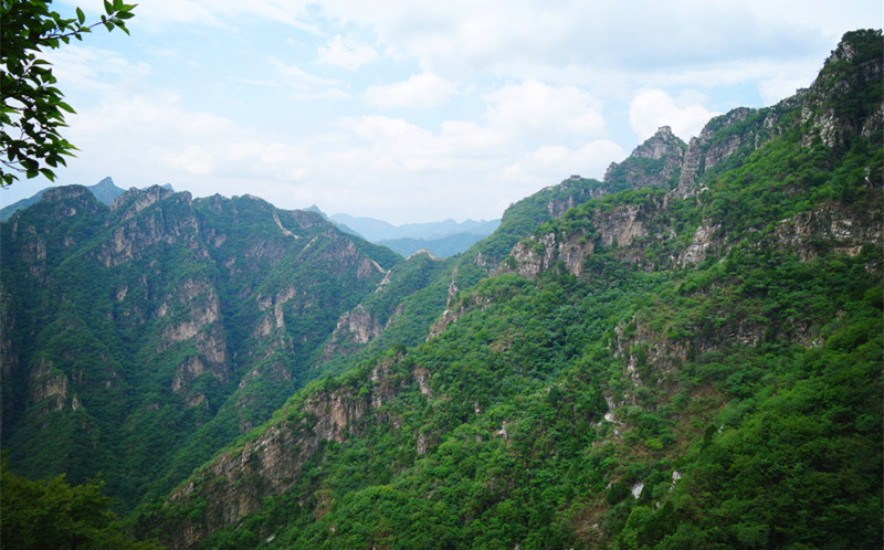 dsc05336_3.jpg