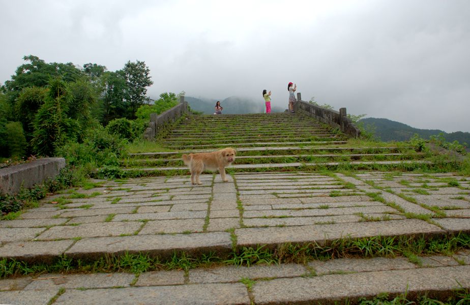 dsc_0091_����.jpg
