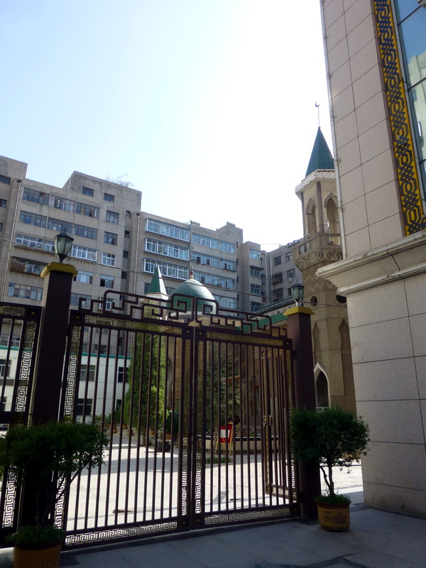 p1210983.jpg