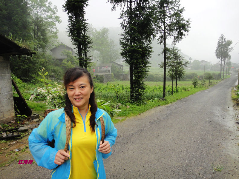 dsc02010.jpg