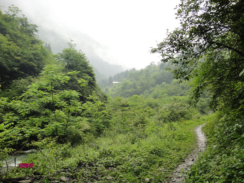 dsc02050.jpg