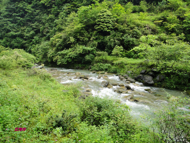 dsc02057.jpg