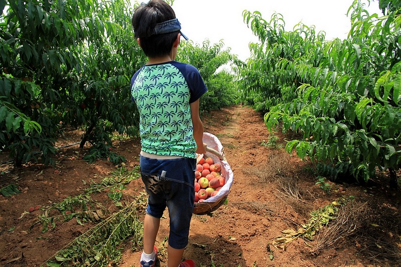 img_7416z.jpg