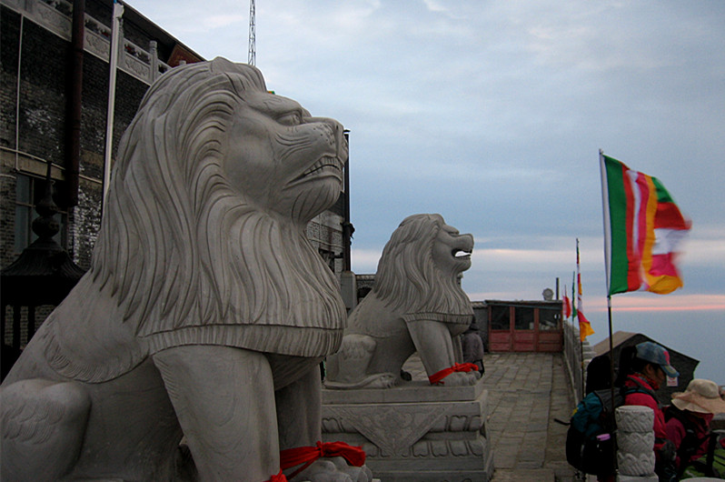 img_8108_1.jpg