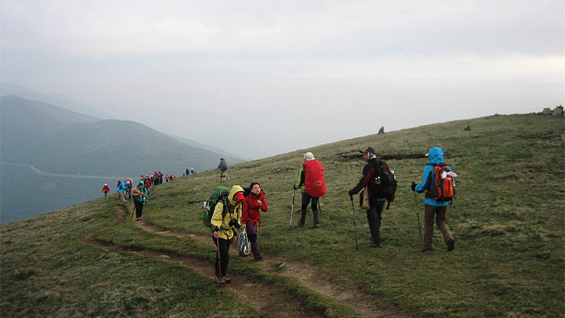 img_8148_1.jpg