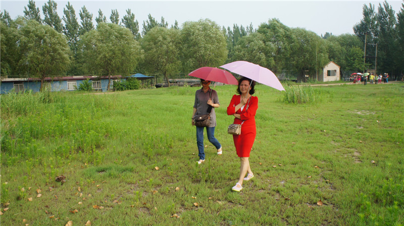 dsc08642.jpg