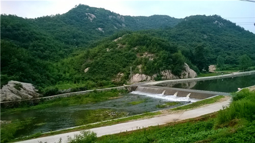 medialib_camera roll_wp_20140713_049_����.jpg