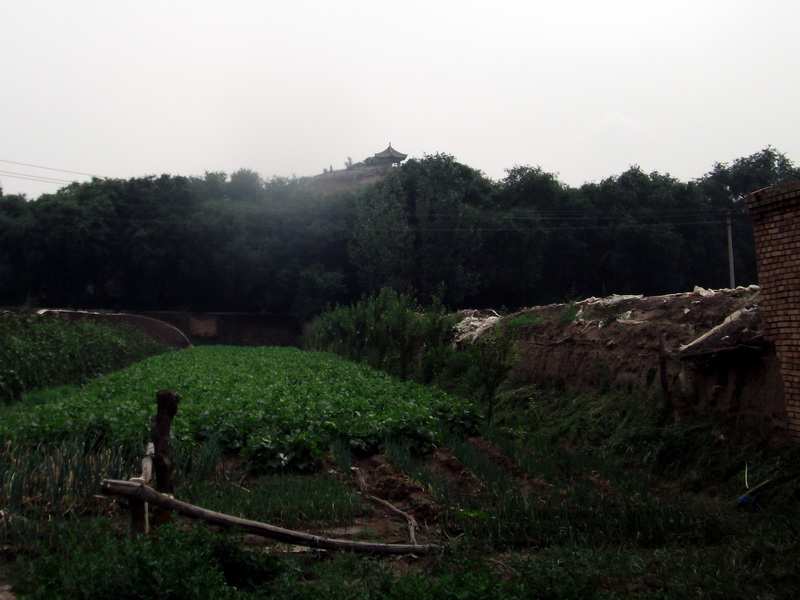 dscf0115.jpg