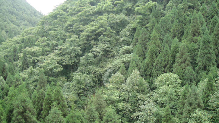 dsc00744.jpg