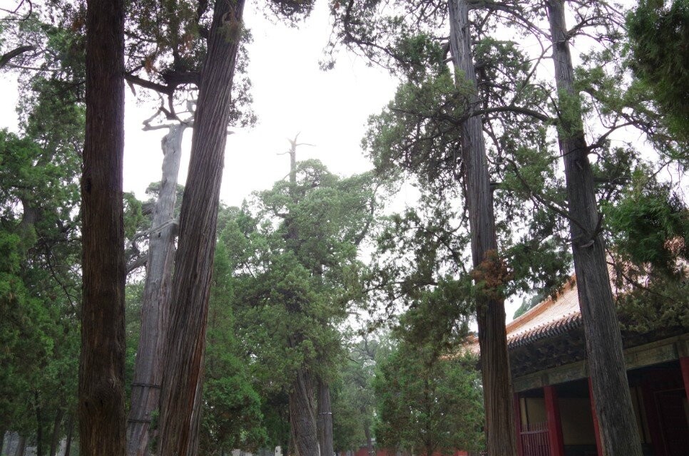 qqͼƬ20140719133756.jpg
