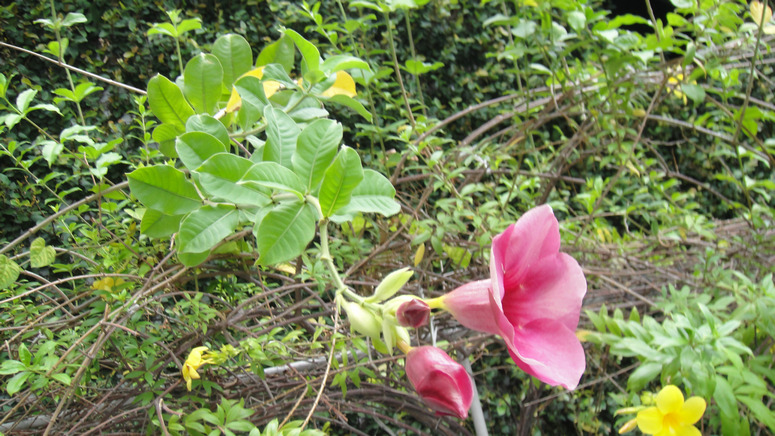 dsc08910.jpg