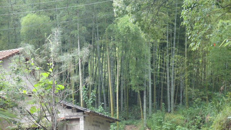 dsc00011.jpg