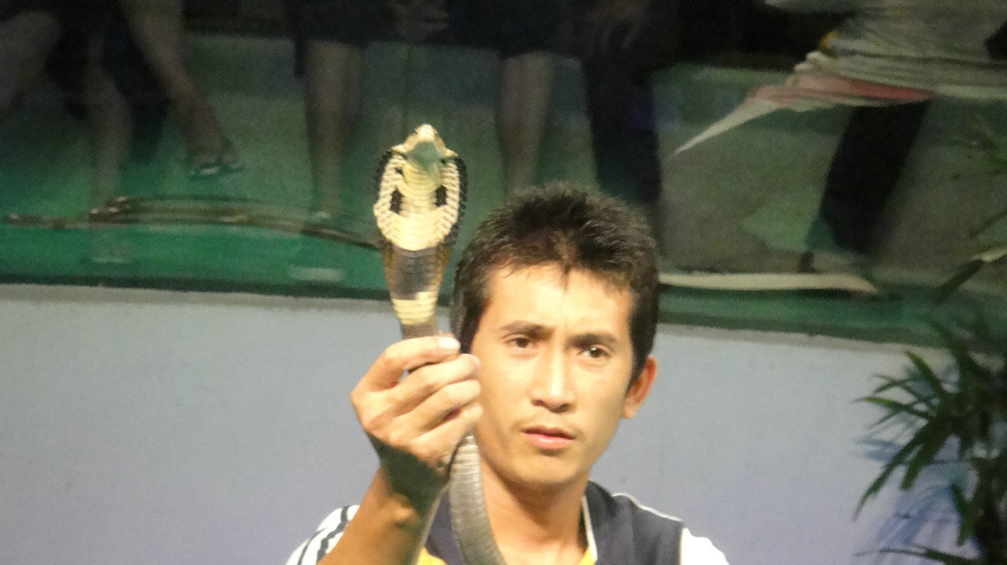dsc09730.jpg