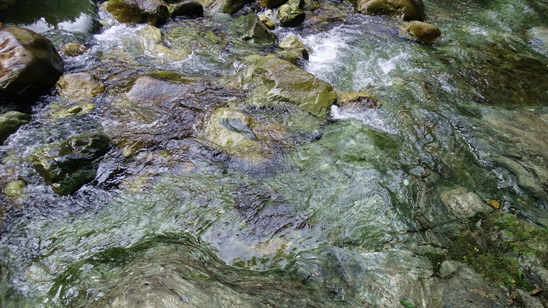 dsc06751_����_����.jpg