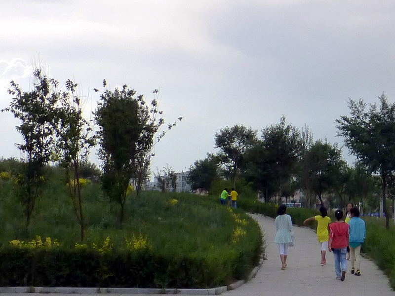p1230346.jpg
