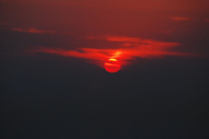 neo_img_dsc_0626.jpg