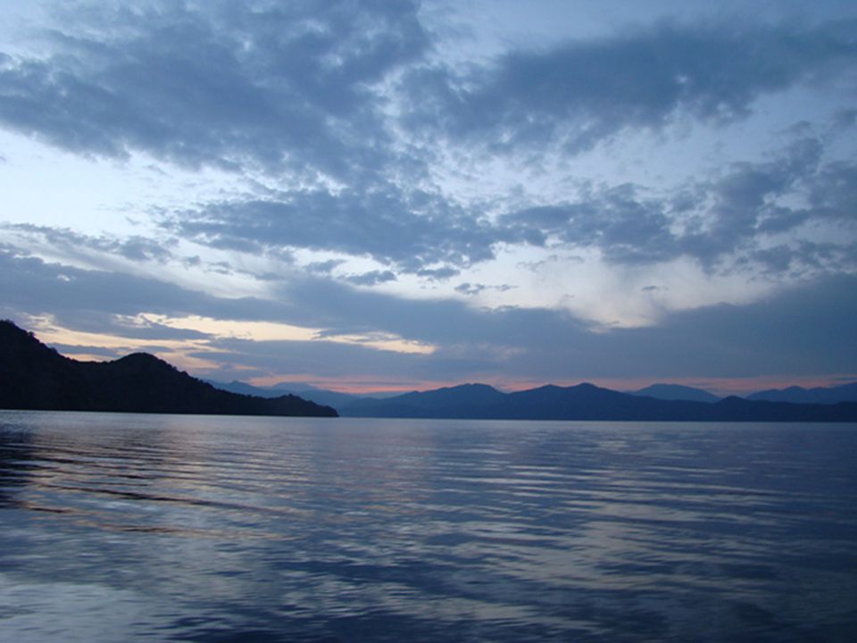dsc03509.jpg