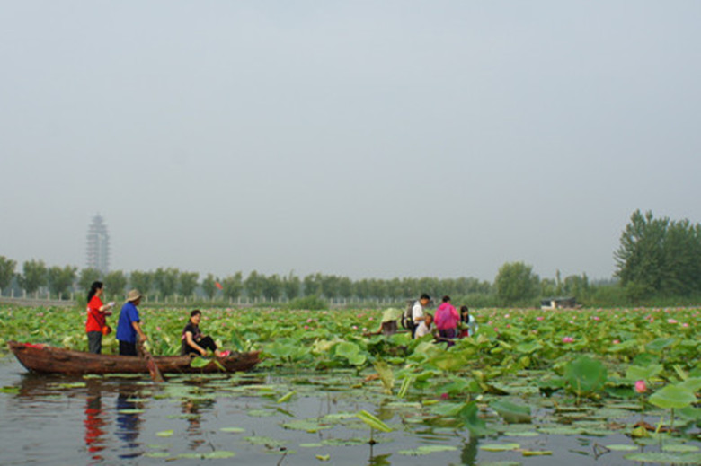 dsc08881_����.jpg