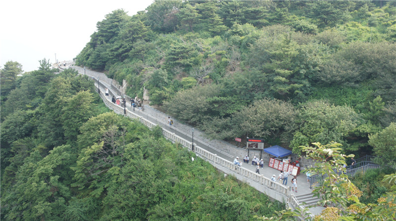 dsc09066.jpg