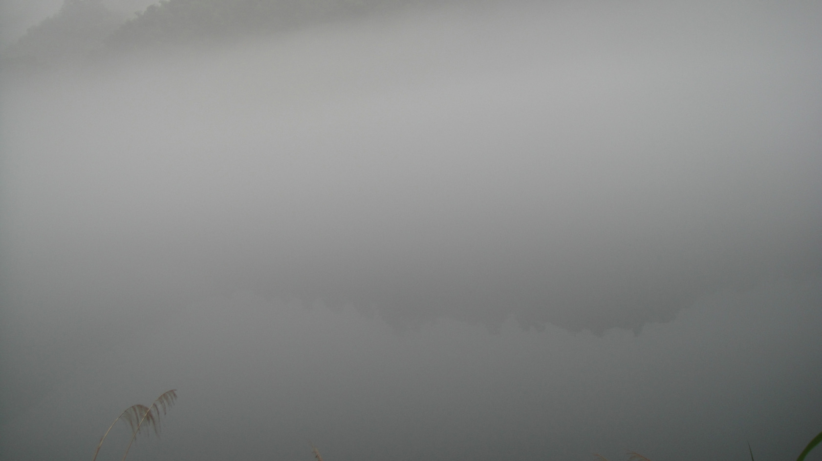 dsc02916.jpg