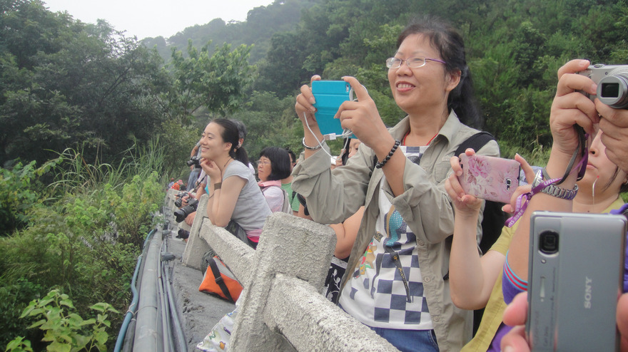 dsc02964.jpg