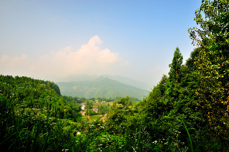 dsc_2965_����.jpg