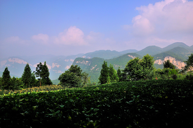 dsc_2970_01_����.jpg