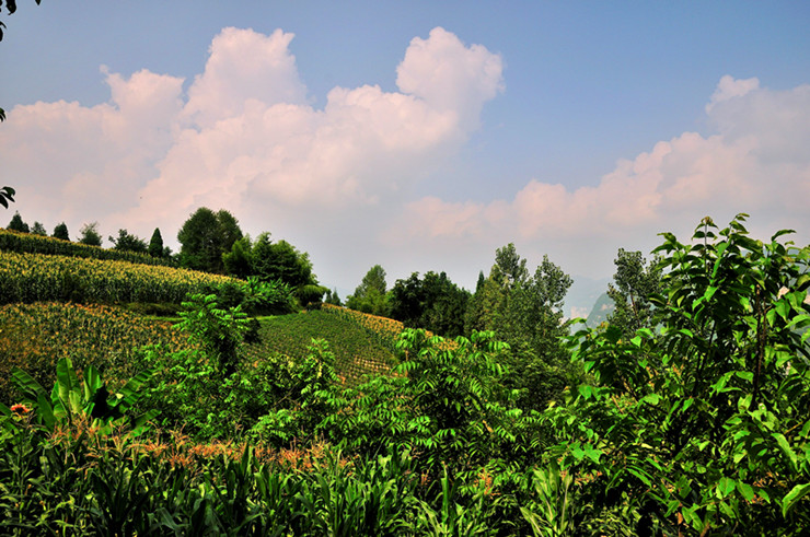 dsc_3057_����.jpg