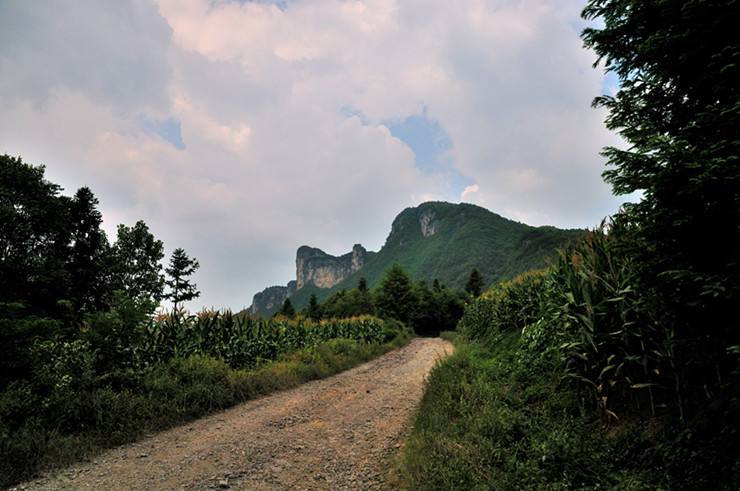 dsc_3133_����.jpg