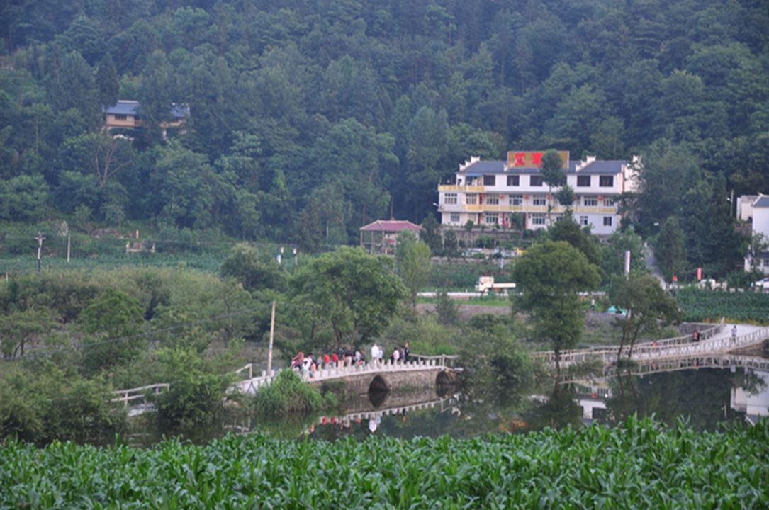 dsc_0039.jpg