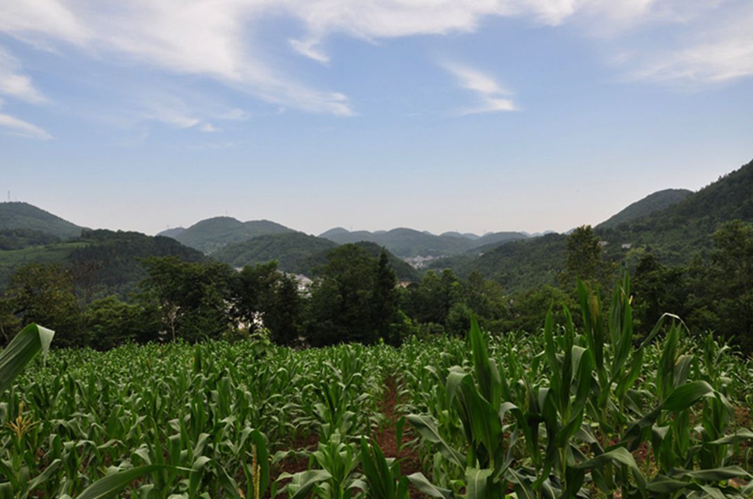 dsc_0281.jpg