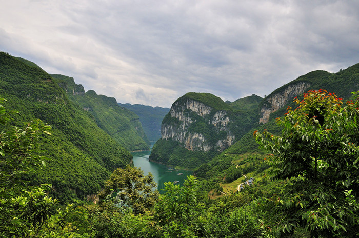 _dsc0006_01_����.jpg