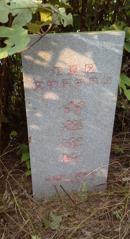 06.jpg