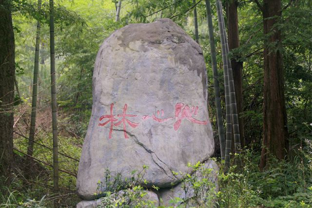 59.jpg