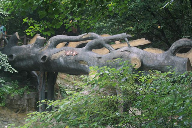 67.jpg