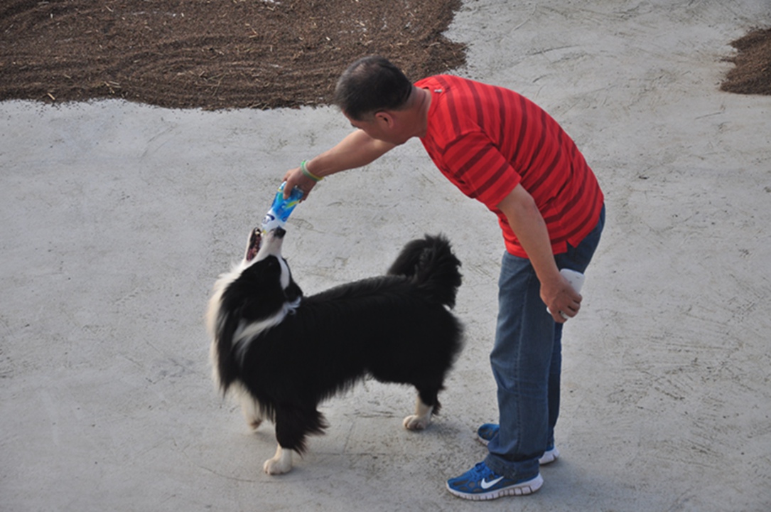 dsc_0017.jpg