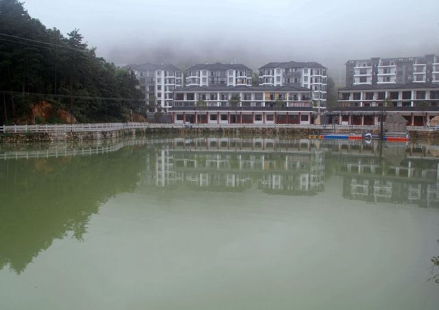 84.jpg