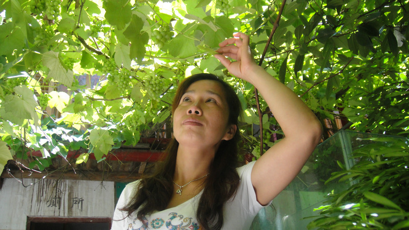 dsc01064.jpg