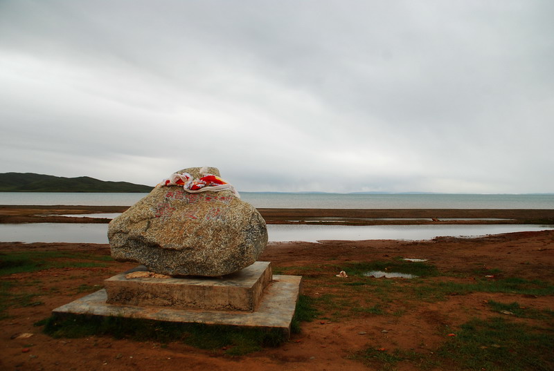 dsc_9890.jpg