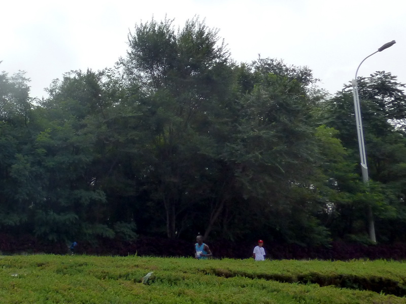 p1250807.jpg