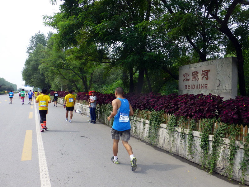 p1250814.jpg