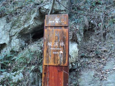 DSC02096.JPG