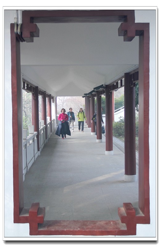 12007.jpg