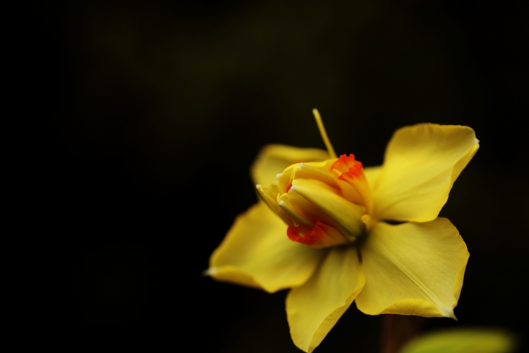 IMG_7962.jpg