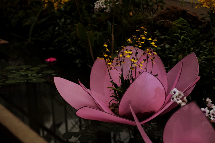 IMG_7976.jpg