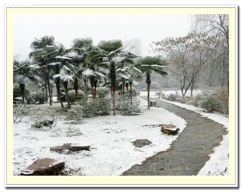DSCN7777.jpg