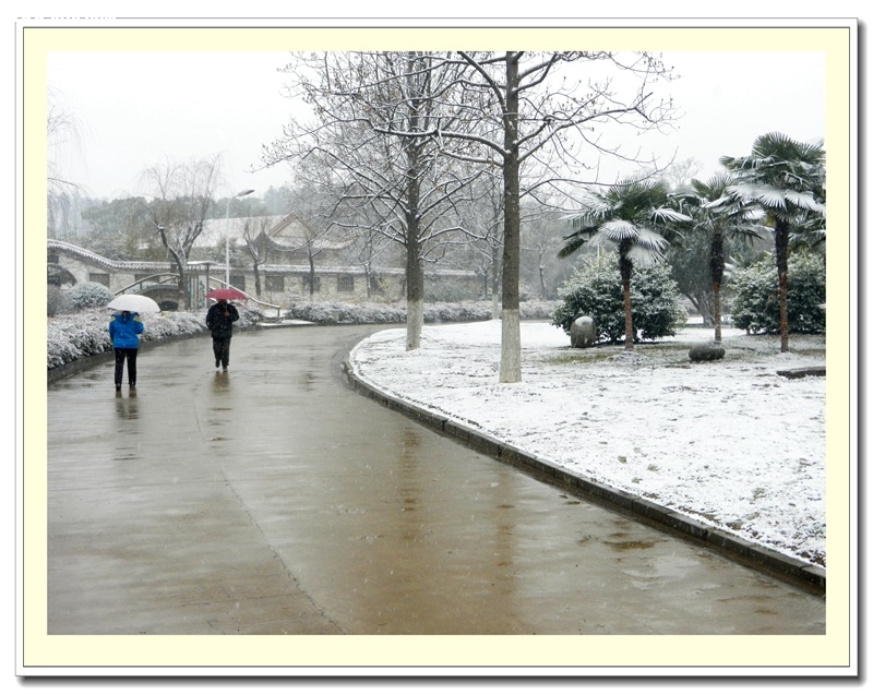 DSCN7782.jpg