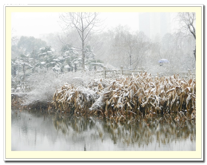 DSCN7786.jpg